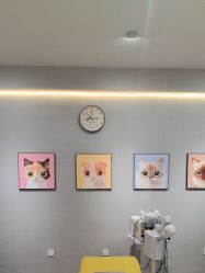 -洗脸猫·洗脸吧