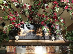 -北京老门框爆肚涮肉馆(凤城六路店)