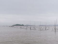-北岐滩涂