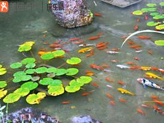 -溪口-滕头旅游景区