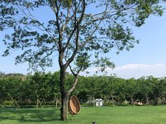 -福建鲤鱼洲酒店