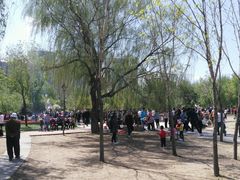 -长春公园(普阳街道)