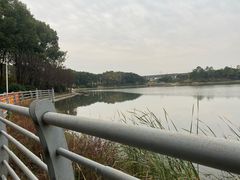 -美兰湖景区