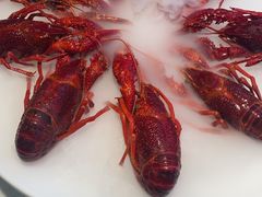 -红盔甲·小龙虾(天钥桥店)