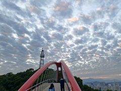 -金鸡山公园