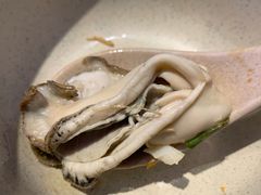 -千岛蚝高压锅生蚝·人参火锅(白云万达店)