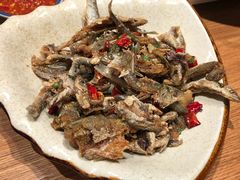 -印象鲵宴·张家界地标美食名片(溪布街店)