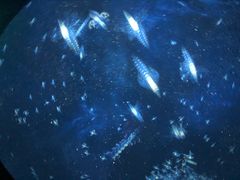 -芜湖方特东方神画