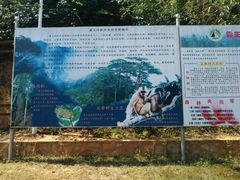 -海南霸王岭国家森林公园