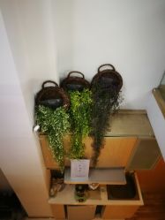 -谜秀韩式半永久纹眉纹绣洗眉