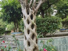 -广州神农草堂中医药博物馆