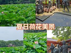 -西湖文化广场