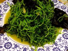 -赵记煎饼卷大葱(东岳店)