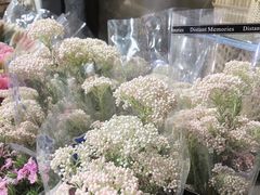 -循礼门鲜花花市(武汉循礼门店)