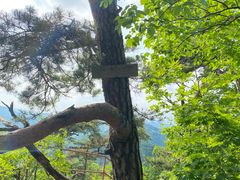 -天女山森林公园