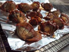 -吴淞炮台湾湿地森林公园烧烤区