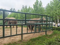 -秦皇岛野生动物园