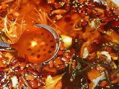 -天辣(金桥啦啦宝都店)