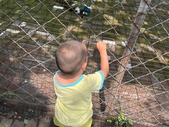 -长白岛森林公园