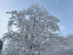 -太子岭滑雪场