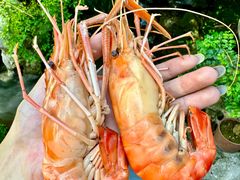 -蟹村草堂·苏式园林人文农家·大闸蟹