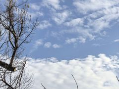 -九华山风景区月身宝殿