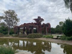 -石家庄市植物园