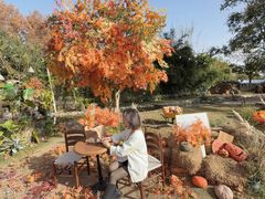 -HERRE·FARM 赫尔露营农场·团建聚会包场