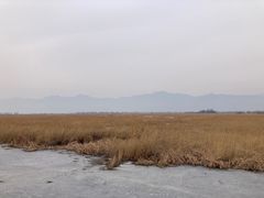 -野鸭湖国家湿地公园