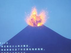 -贝林大翅鲸简餐厅(国家海洋博物馆店)