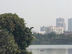 -海珠湖公园