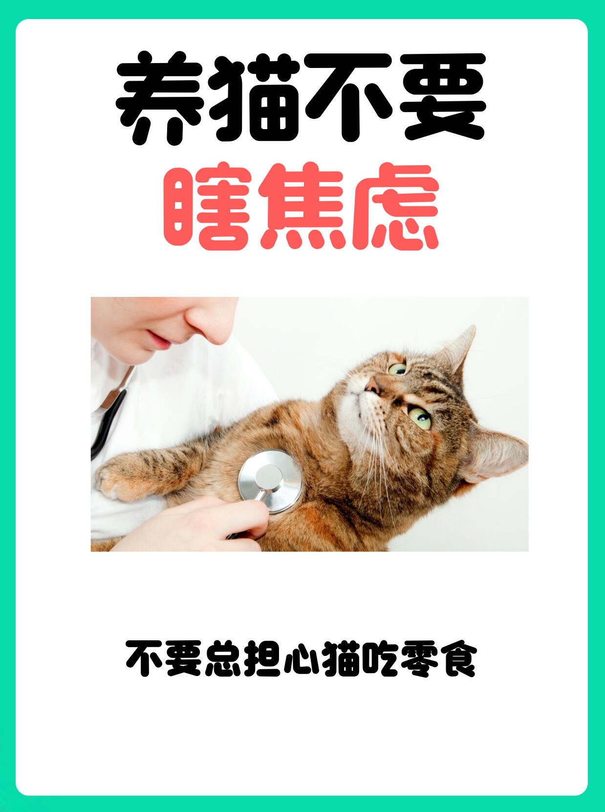 养猫不要瞎焦虑