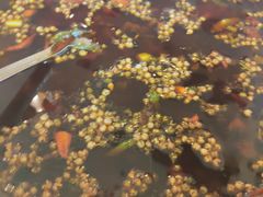 -胖大姐黄辣丁鱼庄(新津店)