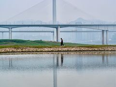-菜园坝水果市场