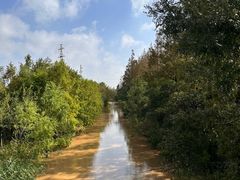 -上海长兴岛郊野公园