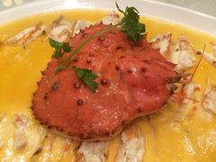 -新白鹿餐厅(城西银泰城店)