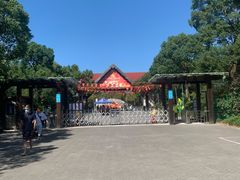 -上海海湾国家森林公园