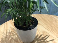 -素匠泰茶(三里屯SOHO工体奶茶店)