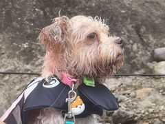 -安吉龙王山峡谷漂流