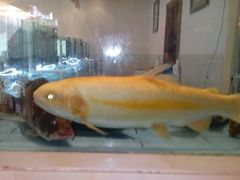 -西贝海鲜汇(槐安路店)