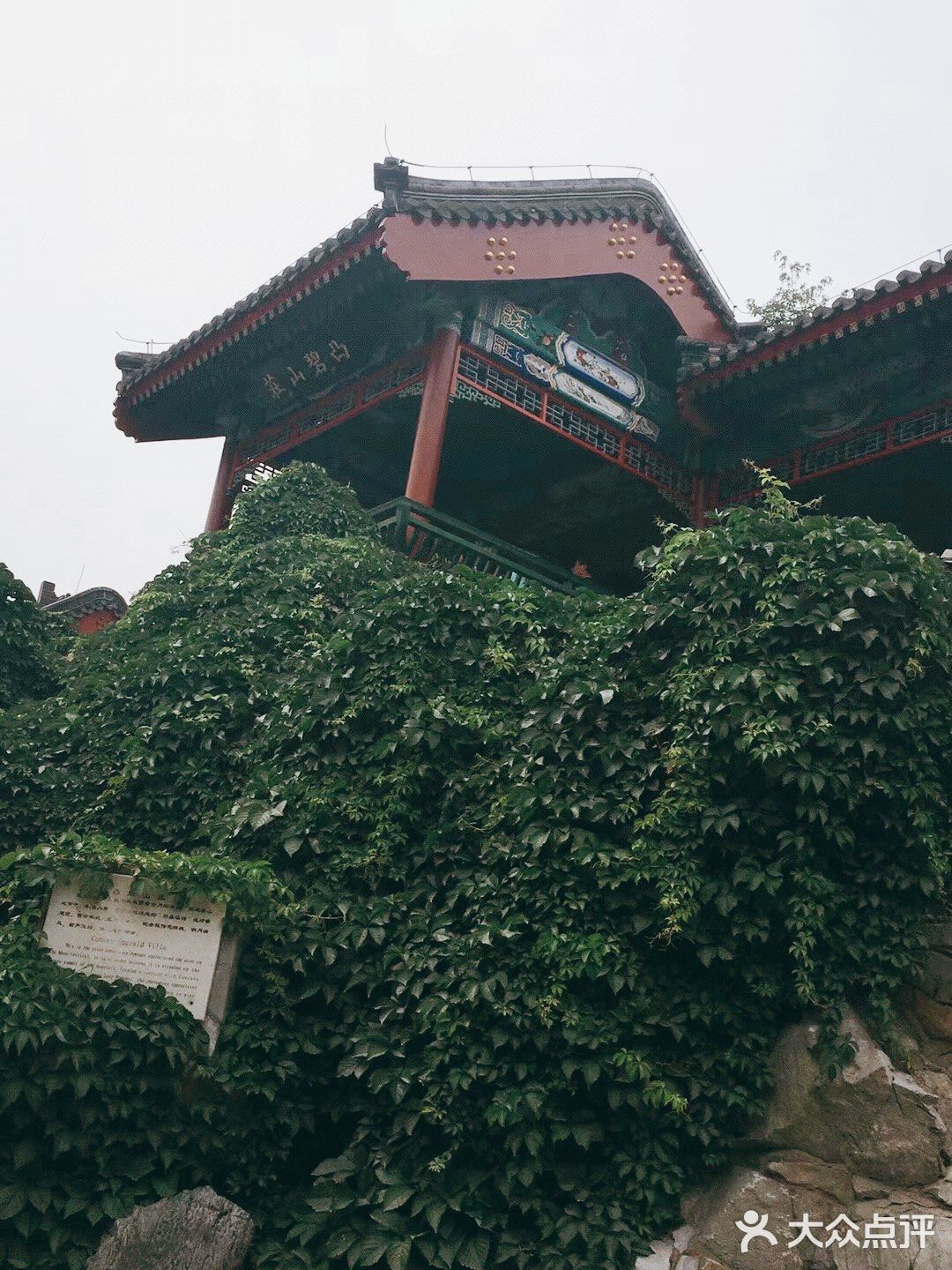 不来后悔，来了更后悔