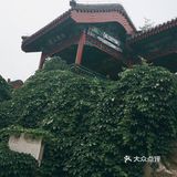 不来后悔，来了更后悔
