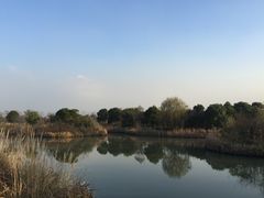 -梁鸿国家湿地公园