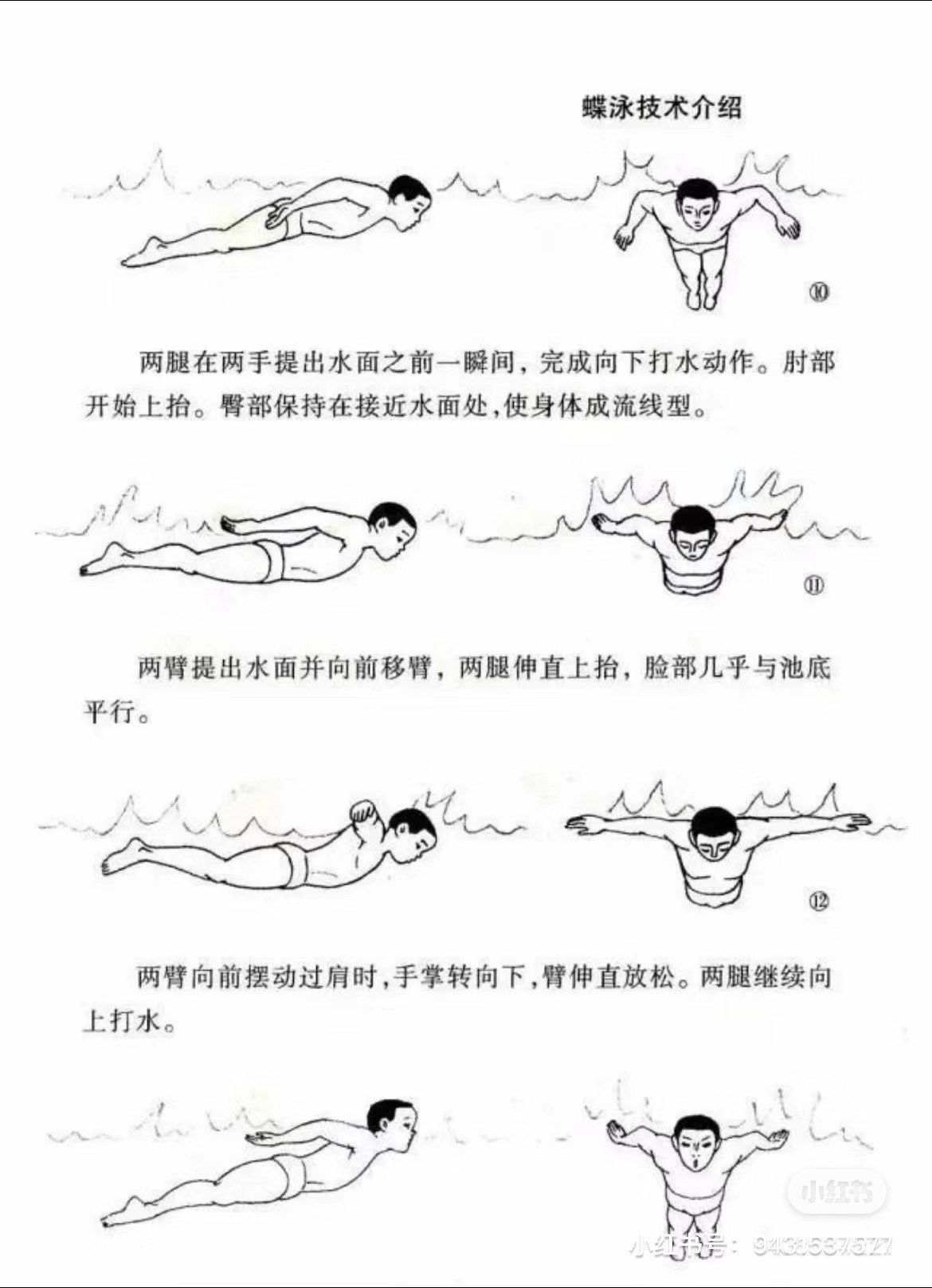 蝶泳手技术分解
蝶泳口诀:
胸腋