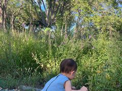 -回龙观体育文化公园