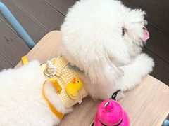 -Grande A'moo(上海万象城店)