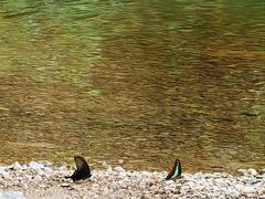 -华蓥山天意谷景区