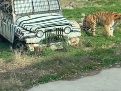 -西安秦岭野生动物园