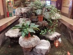 -农家大院(纪王店)
