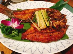 -紫滇源云南生态菜(丹凤街店)
